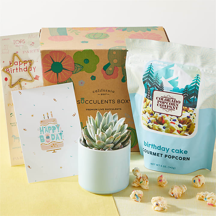 product image for Happy Birthday Succulent Gift Box