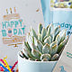 Happy Birthday Succulent Gift Box