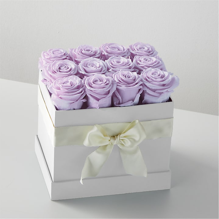 product image for Lavender Forever Rose