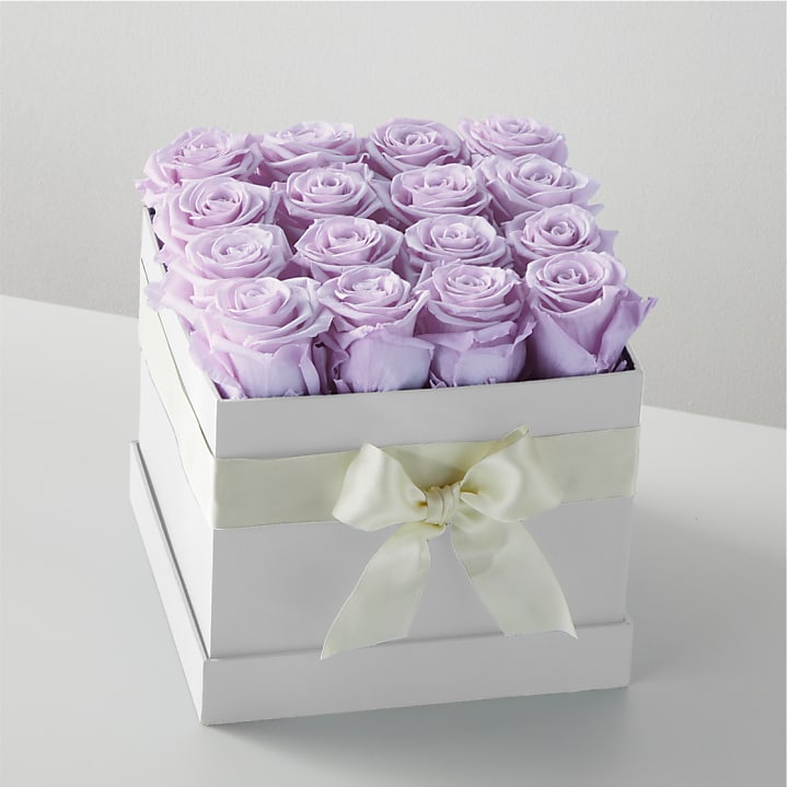 product image for Lavender Forever Rose