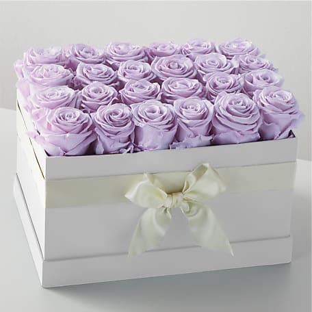 Lavender Forever Rose - 24 Preserved Roses