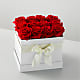 Red Forever Roses - 12 Preserved Roses