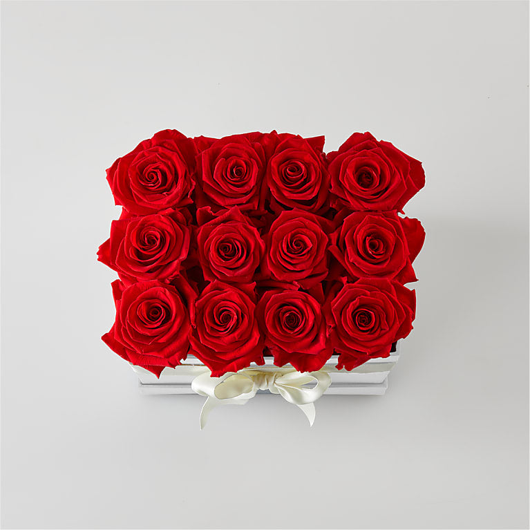 Red Forever Roses