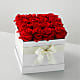 Red Forever Roses - 16 Preserved Roses