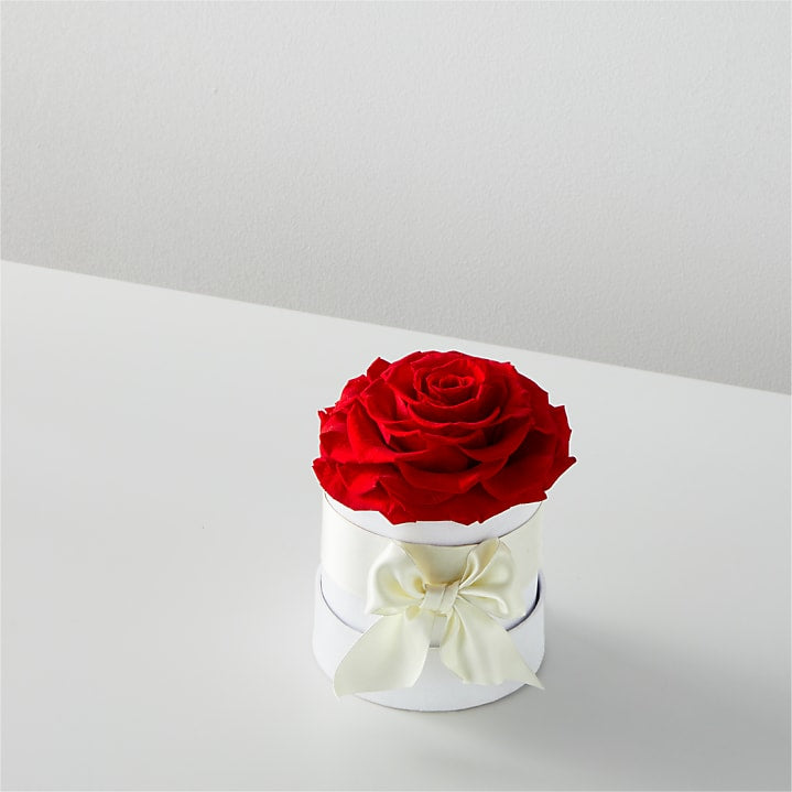product image for Red Forever Roses