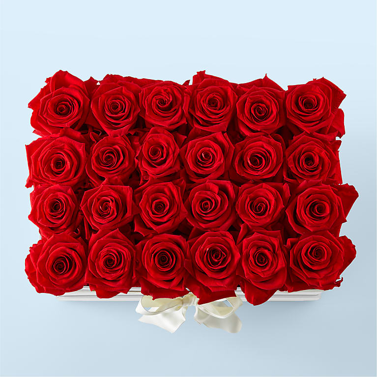 Red Forever Roses