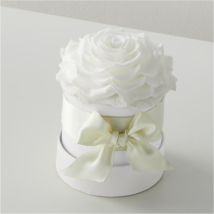 product image for White Forever Roses