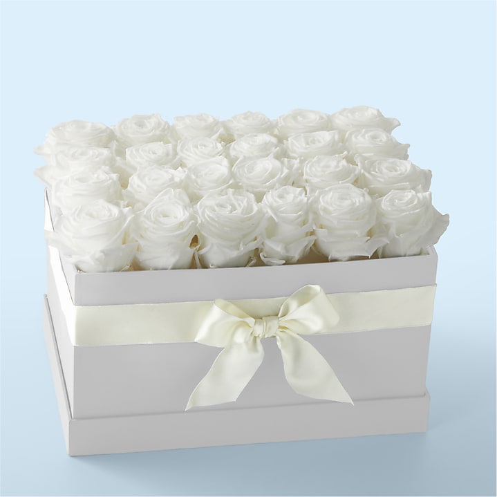 product image for White Forever Roses