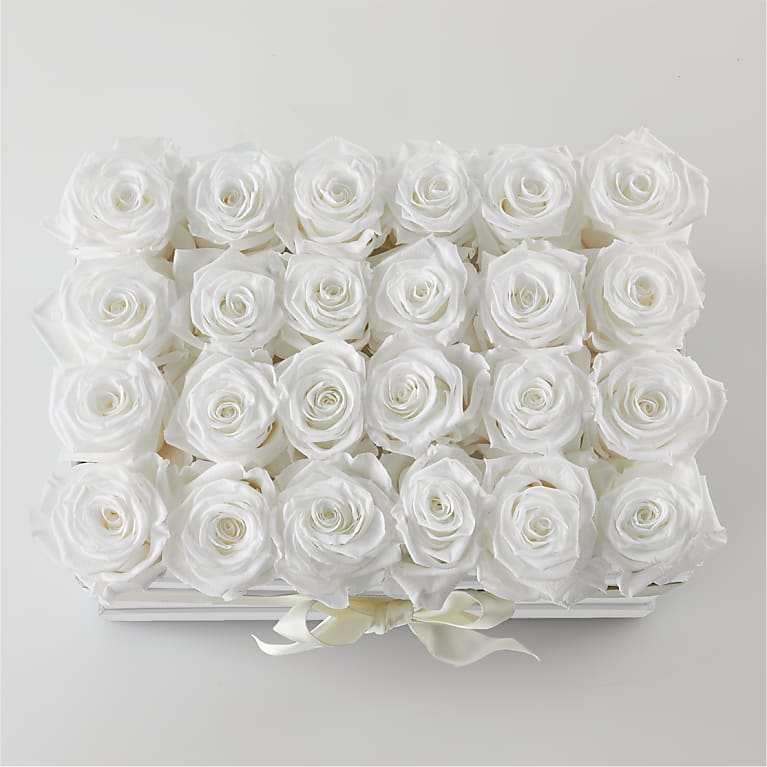 White Forever Roses