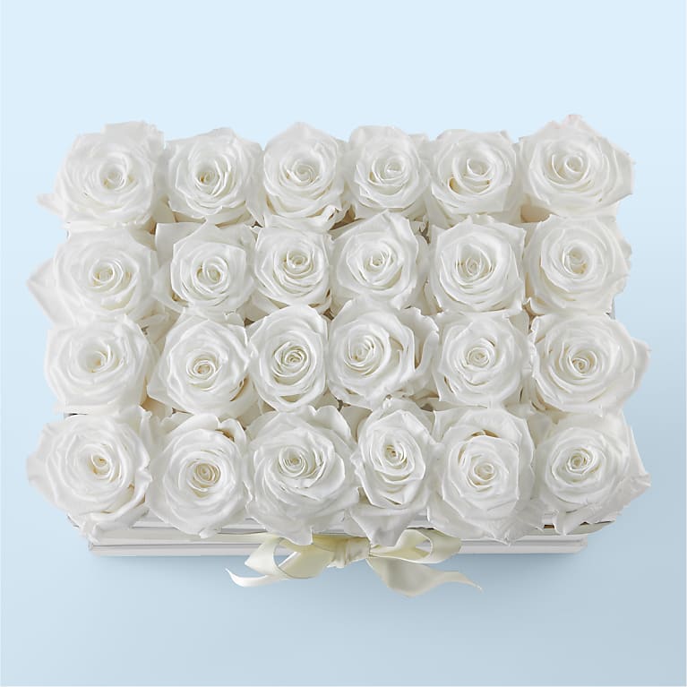 White Forever Roses