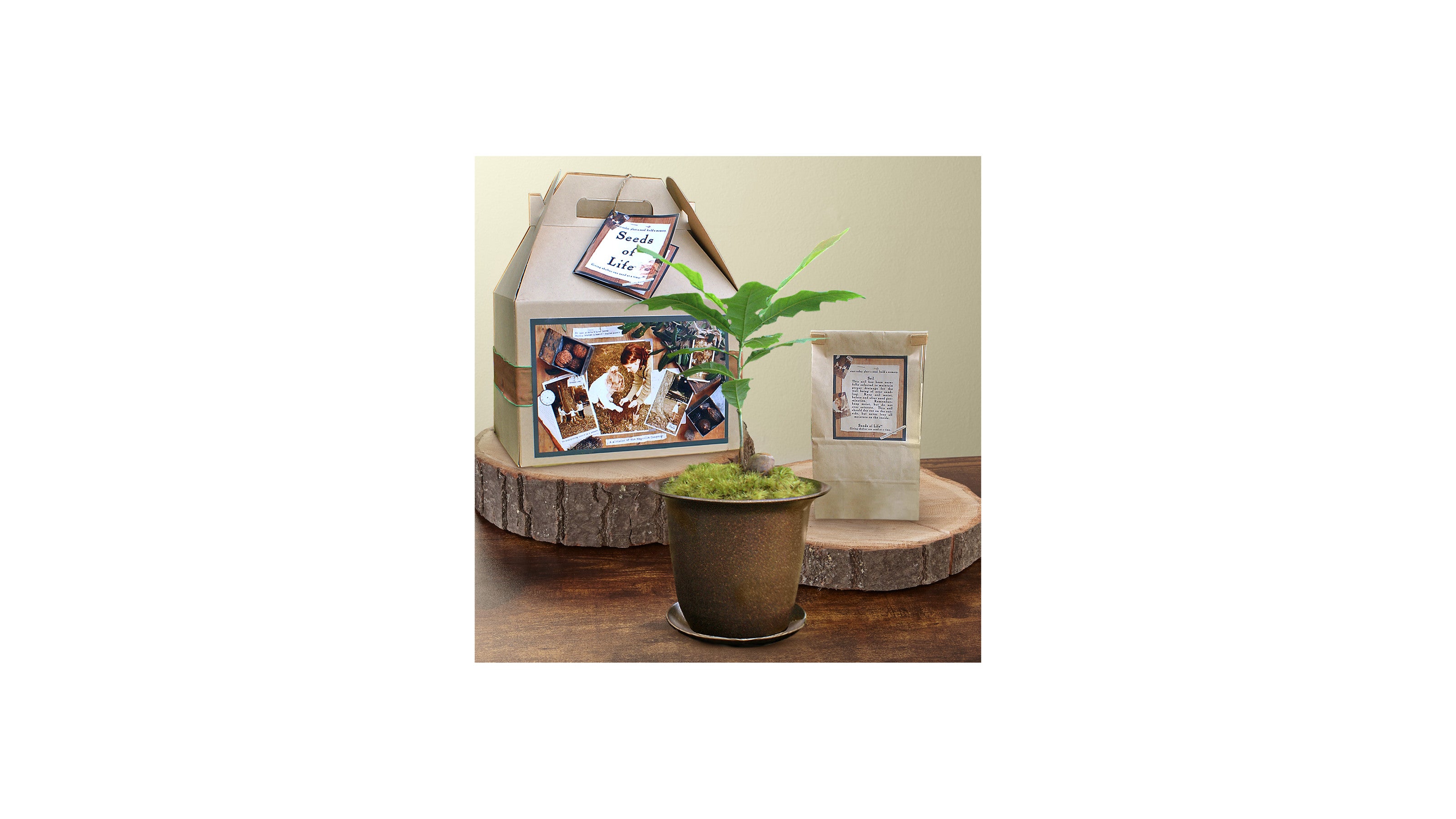product image for Seeds of Life Memory Tree