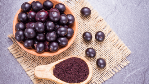 Acai üzümü ve acai meyvesi