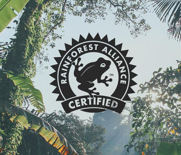 Rainforest Alliance Certified image with logo among green foliage 