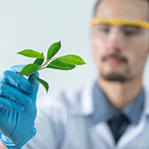 A researcher in a lab coat holding a small green plant, representing scientific investigation into the medicinal properties of Andrographis.