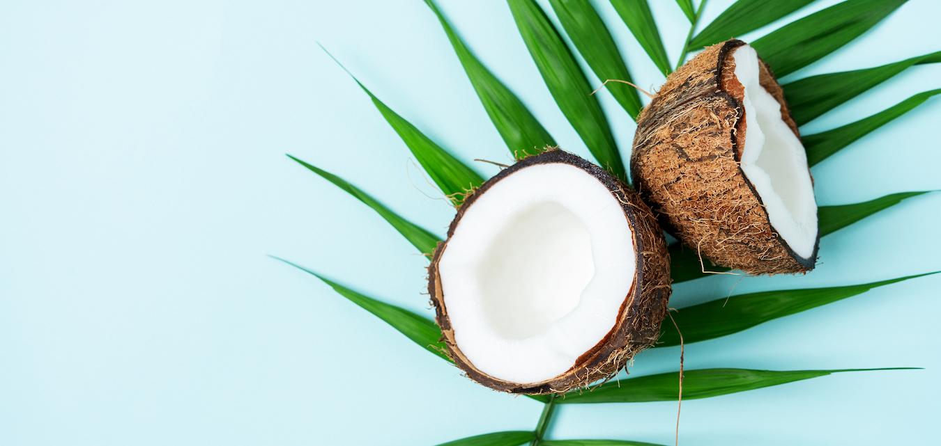 a cut open coconut gene expression adverse reactions immune response immune system mother's milk richest food source how much coconut milk animal studies taking coconut oil human body