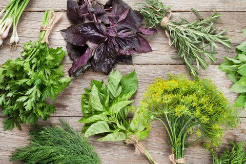 An array of fresh herbs including parsley, basil, and dill on a rustic wooden surface, which are often associated with natural immune support due to their nutritional benefits.