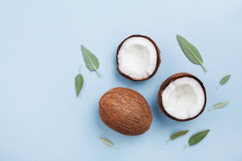 A top-down image of coconuts cut in half surrounded by green leaves on a blue background, representing the natural ingredients used in monolaurin supplements.