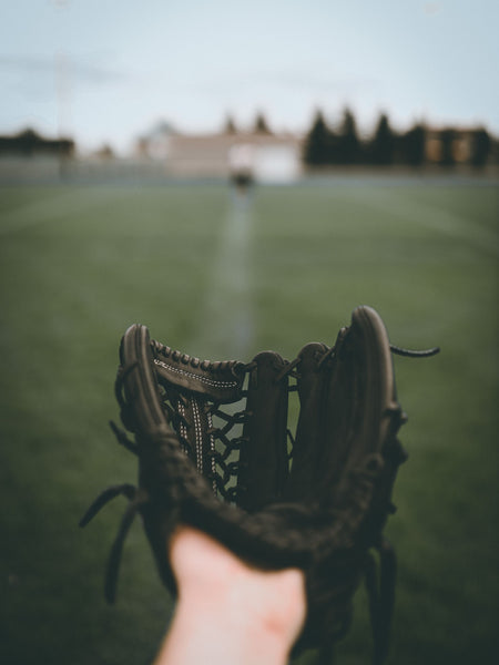 Baseball Gloves Photo