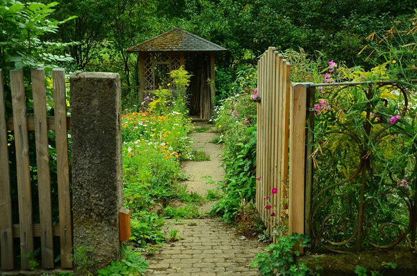 abri de jardin rideau de douche