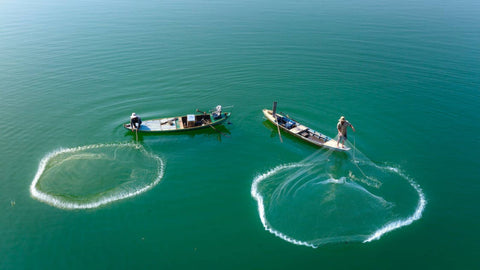 Photo Of People Catching Fishes
