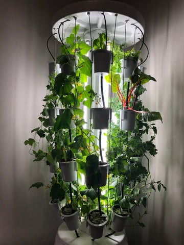 Indoor Hydroponic Vertical Gardening System