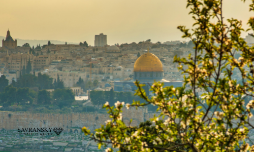 Plant a tree in the Holy Land