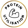 protein utilization