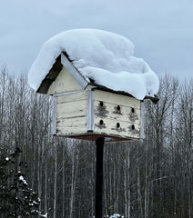 A north Idaho birdhouse in the midst of winter.  No DMX-40 in here!