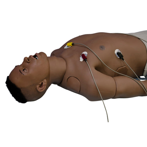 Leonardo Adult Patient Simulator SS1044 | Sim & Skills