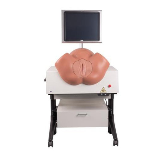 https://cdn.shopify.com/s/files/1/0507/6087/6201/products/simone-birthing-simulator-1019599-sim-skills-248858_512x512.jpg?v=1684814712