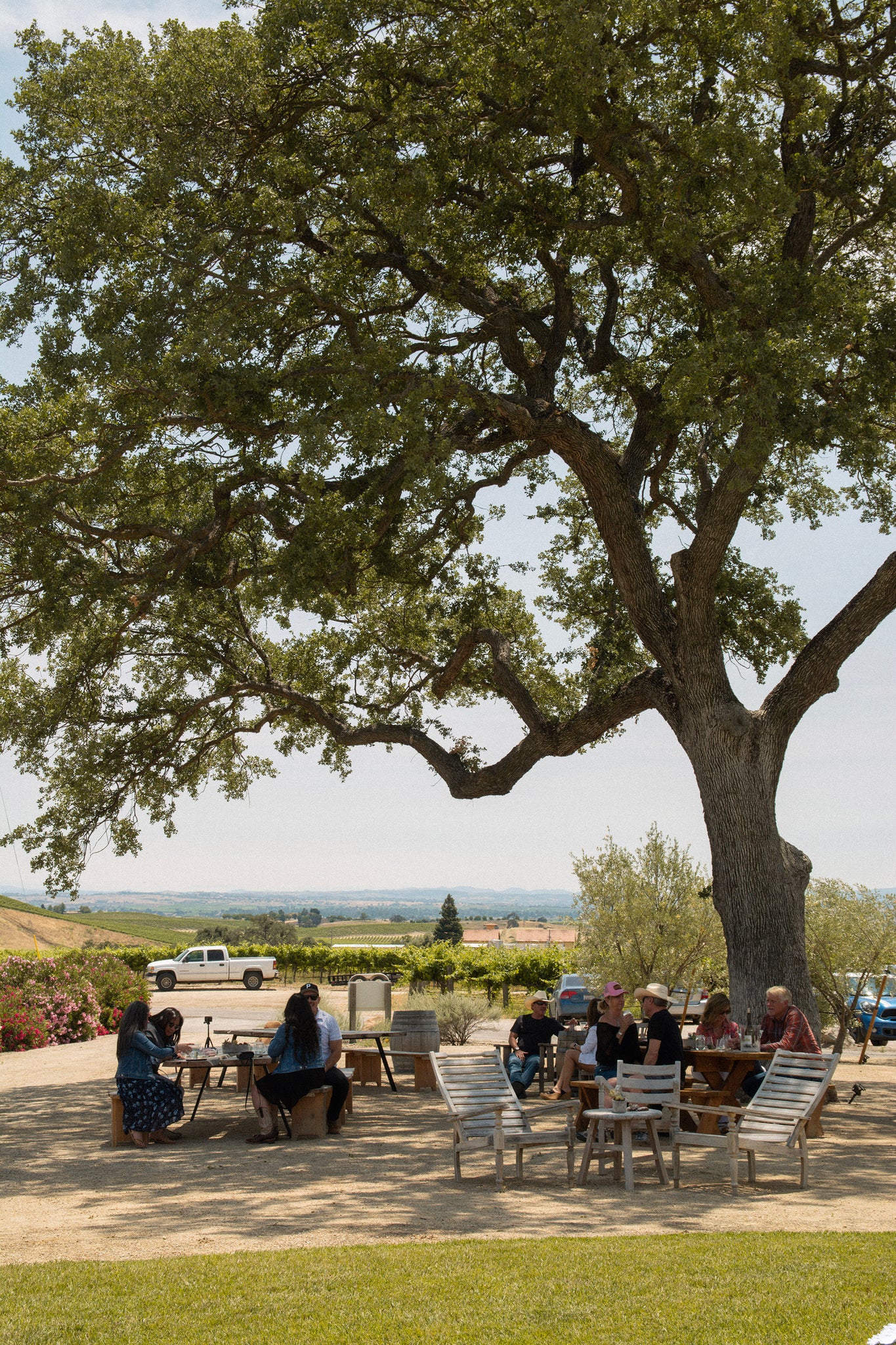 High Camp Wines Hoedown - People Under the Tree