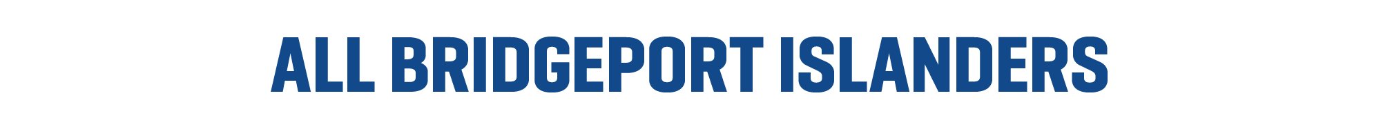 2021-22 AHL Bridgeport Islanders Jersey Large Promotion SGA