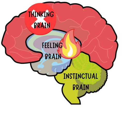 brain experiencing tough emotions