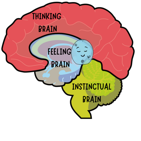 calming the brain