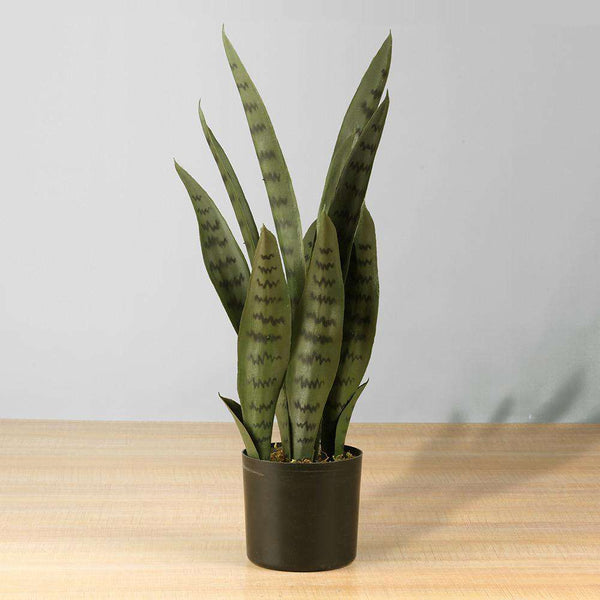 ZORO Artificiale Finto Serpente Sansevieria Pianta in Vaso 30