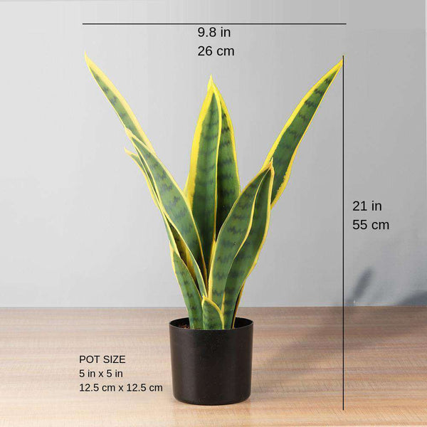 Luna Artificial Snake Sansevieria Pianta in vaso gialla e verde (misur –