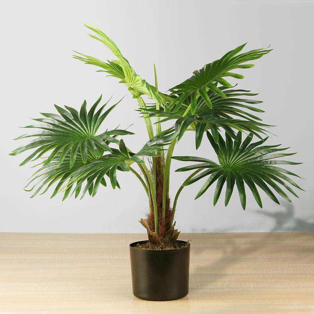 Tita Artificial Fan Palm Potted Plant 26 inches (65cm) - artiplanto.eu product image