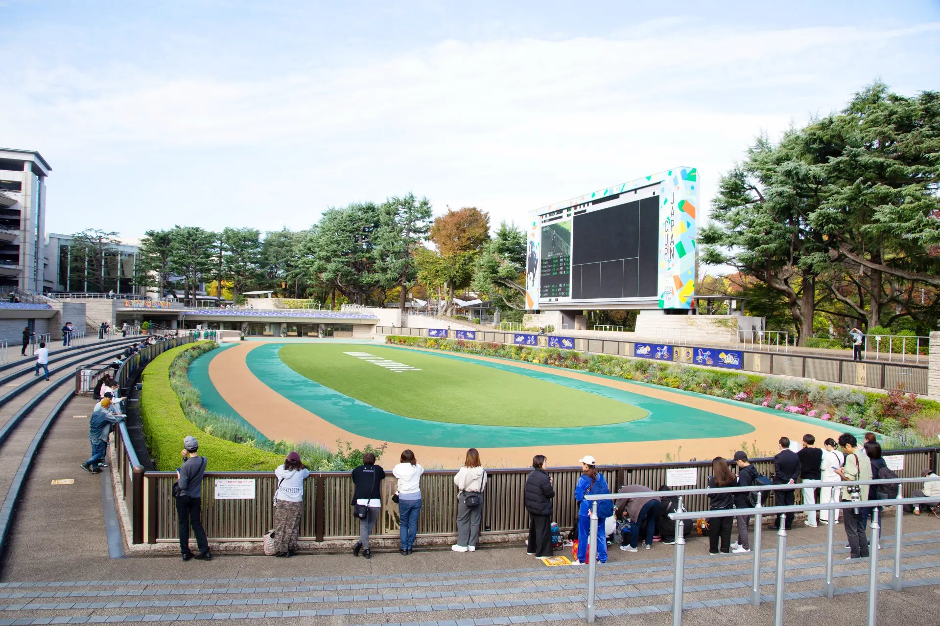 Finally, the jockeys mount their horses and head to the track