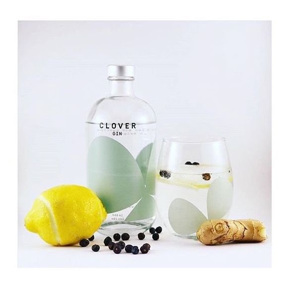 Clover gin Belgium bottle, clear with pastel green design, sits on a table next to a lemon, juniper berries, and ginger root