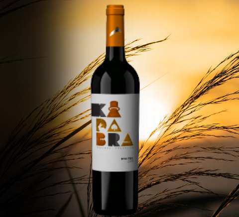 fecovita malbec dry red wine with sun and waving wheat in the background