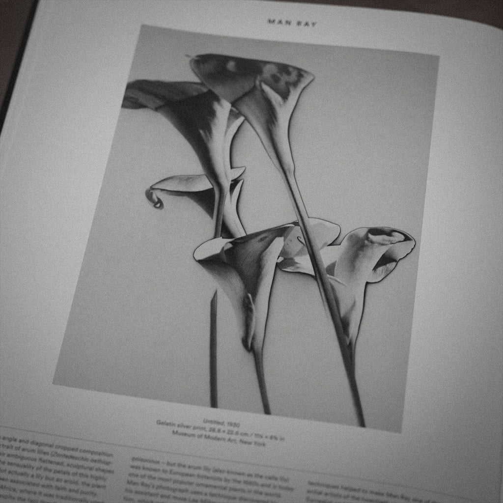 man ray flower