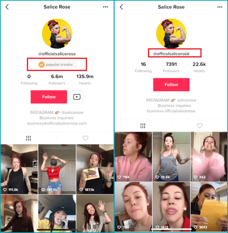 Cómo ser verificado en TikTok