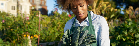 gardener with bunch of kale