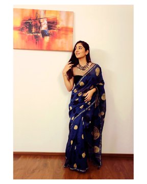 Blue Saree