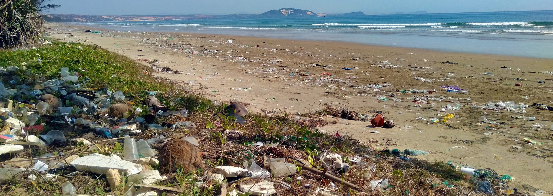 Image of plastic pollution on a beach