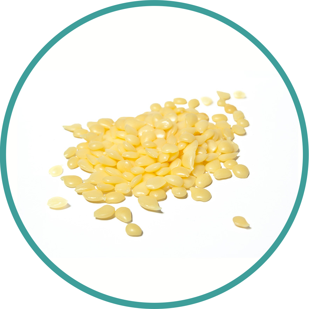 Candelilla Wax