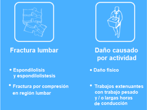 cinturon lumbar, cinturon lumbar decathlon, cinturon lumbar pesas, cinturon lumbar lidl, cinturon lumbar mujer, cinturon lumbar policial, cinturon lumbar amazon, cinturon lumbar crossfit, cinturon lumbar mujer decathlon, cinturon lumbar trabajo, cinturón lumbar hombre, cinturón lumbar, cinturón lumbar y postura, cinturon lumbar magnetico, cinturon lumbar para militares, cinturón lumbar, cinturón lumbar gimnasio, cinturón descompresor lumbar, cinturón de descompresión lumbar, what is the medical term meaning lower back region, left curvature of the lumbar spine, what is lumbar sprain, what is lumbar segmental dysfunction, what is the common name for lumbar spine, how many vertebra in the lumbar, body of the lumbar region, what is a lumbar, how many lumbar vertebrae do horses have, how many bones are there in the lumbar group, cinturón lumbar lidl, cinturon lumbar vision, cinturón lumbar, cinturón lumbar sensiplast, cinturón lumbar decathlon,