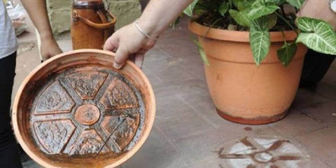 Une personne vidant un récipient d’eau stagnante dans un jardin.