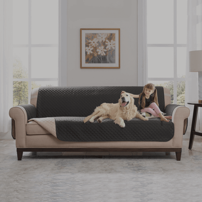 Bankbeschermer voor honden, hondenbank covers, hond sofa beschermers, sofa beschermende laag productie, sofa beschermende lagen bed, sofa beschermende laag, sofa beschermende laag, sectionele sofa beschermer, sofa beschermer zonder tessen, sofa beschermer voor katten, lederen sofa beschermer, leer Bankbeschermer, Kerstmis Bankbeschermer, omkeerbare bankbeschermer, kamer Bankbeschermer, Sofa Bankbeschermer, Sofa Beschermende productie, Sofa Protector Bed, Sofa Protector / Slaap, Sofa Beschermende, Sofa Beschermhoes, Beschermende Sofa Beschermende Case Sofa Chaise Longue, Sofa Beschermende Case , Sofa Beschermhoes, Beschermende Slaapbank, Beschermhoes Bank IKEA, Sofa Beschermhoes, Slaapbank Beschermende kast, Beschermende sofa, Sofa Beschermhoes, Sofa Beschermende Case Manufacturing, Beschermhoes Een slaapbank, sofa beschermhoes / slaper, sofa beschermhoes,