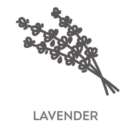 Lavender